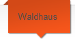 Waldhaus